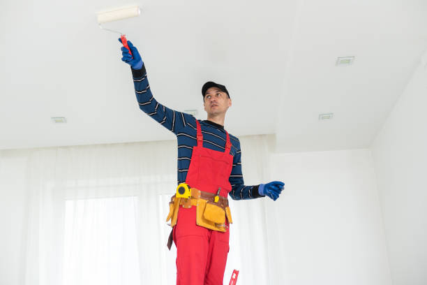 Best Emergency Mold Remediation  in USA